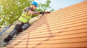 Best Roof Moss and Algae Removal  in Evans, CO