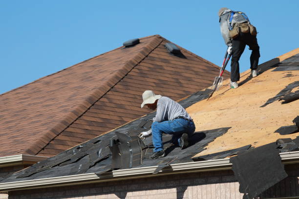 Best Roof Coating and Sealing  in Evans, CO