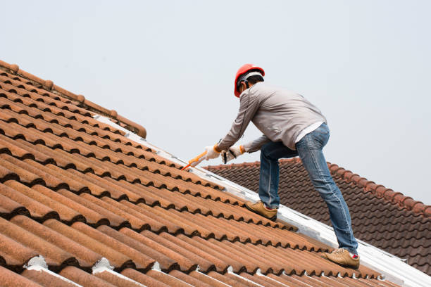 Best Roof Leak Repair  in Evans, CO